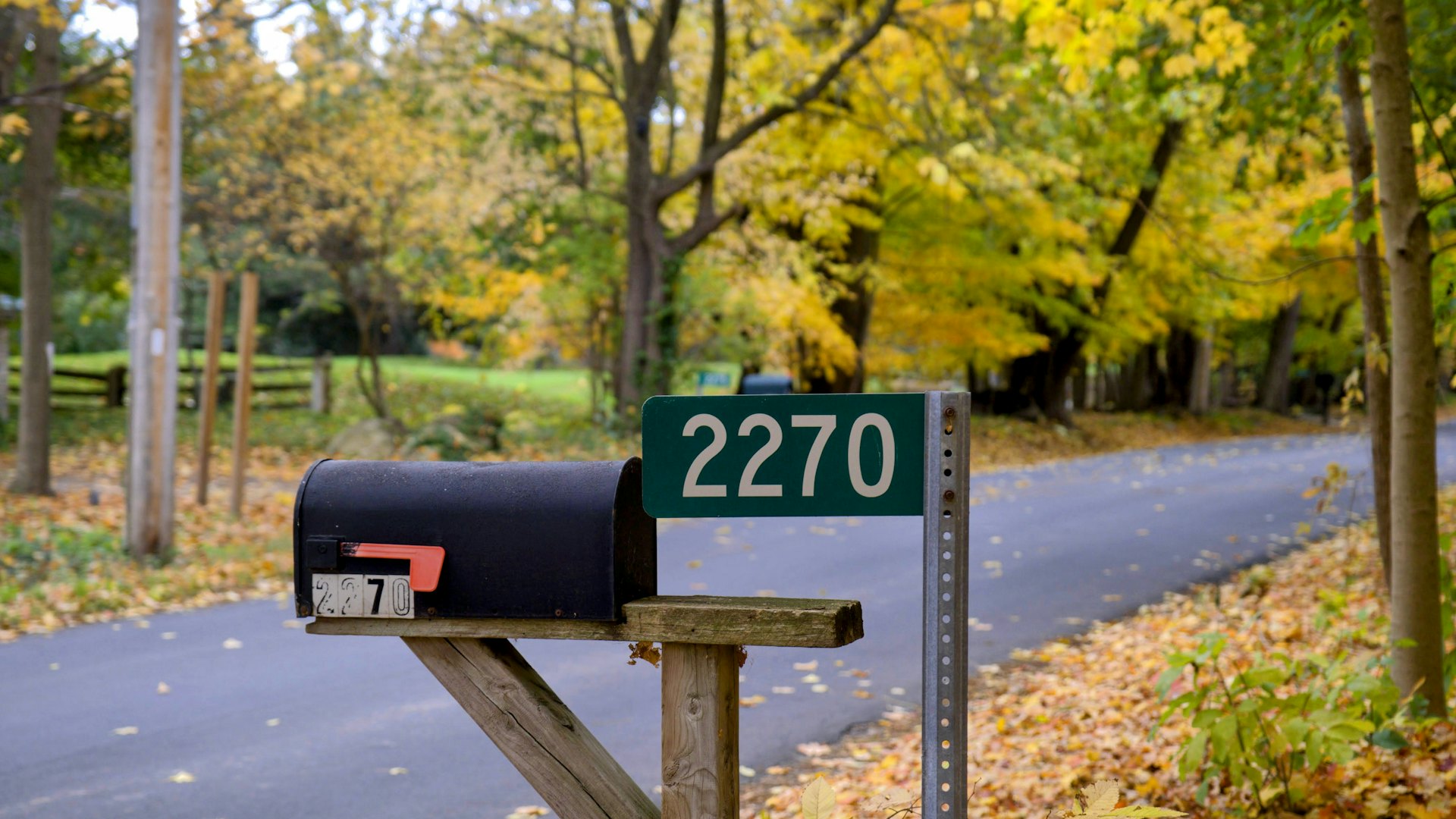 A mailbox on a post beside a rural road in autumn